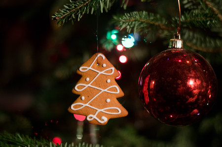 Gingerbread hanging on the christmas tree with light garland and glass spheresの写真素材