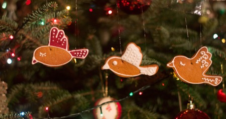Three gingerbread birds hang on the decorated christmas treeの写真素材