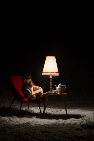 Teddy bear read a book outside in a winter night - surreal sceneの写真素材