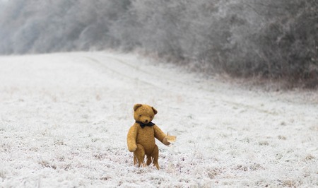 Happy New Year - teddy bear drinks champagne in the forest and celebrates - winter outside scene from Europeの写真素材