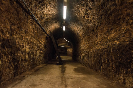 Endless floor in a cellar - with rustic brick walls - European underground scene for Halloween