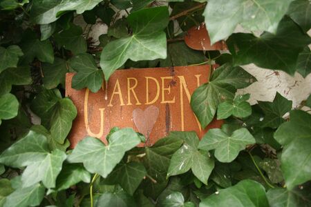 Gardenの写真素材