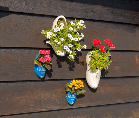 Amsterdam, Netherlands - August 4, 2014: Dutch traditional wooden shoes clogs. Adapted for growing...