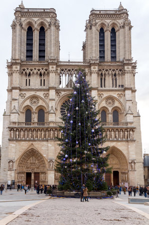 Paris, France - December 20, 2014: The area around the Cathedral of Notre Dame with the Christmas tree.のeditorial素材