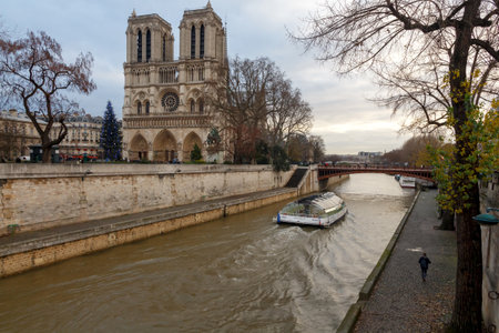 Paris, France - December 20, 2014: The area around the Cathedral of Notre Dame with the Christmas tree.のeditorial素材