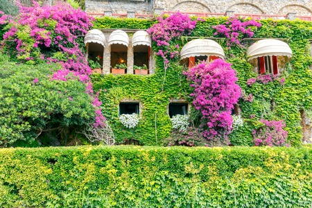 Italian house decorated with fresh flowers.の写真素材