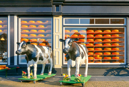Delft, The Netherlands - August 30, 2016: Sculptures of cows in front of a showcase shop selling the famous Dutch cheese. Dutch cheese is an important export product in the Netherlands.のeditorial素材
