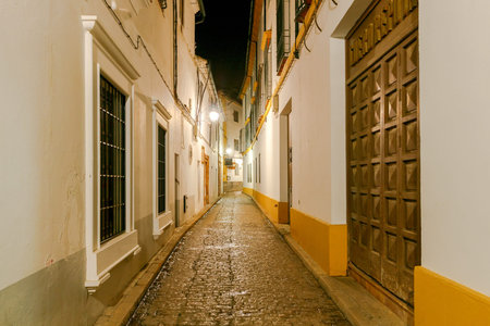 Ancient Spanish narrow street in Cordoba at night. Andalusia.の写真素材