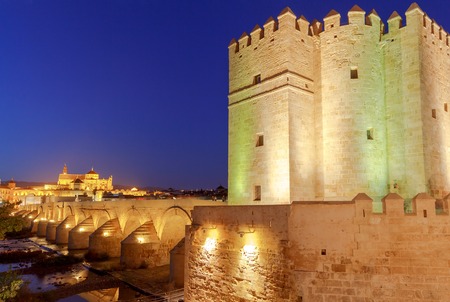 Stone Roman bridge over the Guadalquivir River at night. Cordoba. Andalusia.の写真素材