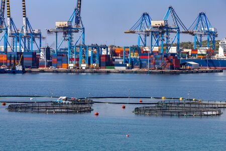 Marsaxlokk. Container terminal.の写真素材