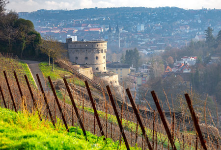 Wurzburg. Vineyards on the walls.