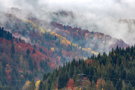 Carpathians. Autumn colorful forest.の写真素材