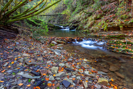 Carpathians. Skole. Mountain river.