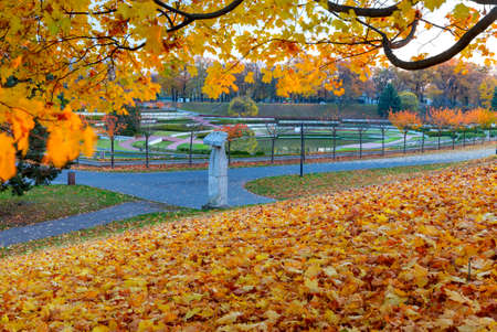 Poznan. Autumn yellow trees in the Citadel park.の写真素材