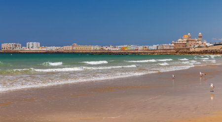View of Cadiz with sandy beach and blue sea in the background.の写真素材