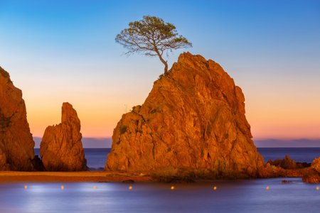 Scenic view of a cliff with a lone tree at dusk in Tossa de Mar, Catalonia, Spain