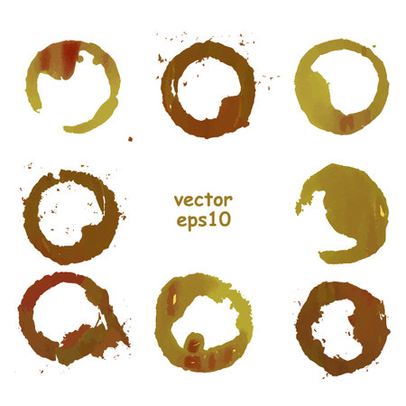 Coffee cup stains on the white background - Vector illustration.のイラスト素材