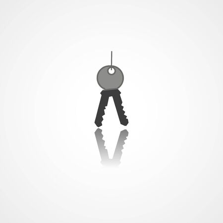 Keys web icon on white backgroundのイラスト素材
