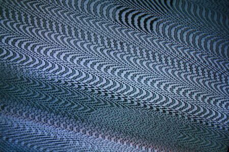 Interference pattern of an analog television setの写真素材