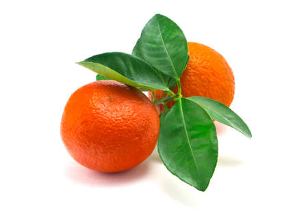 citrus fruitOranges on a white backgroundOranges with green leavesの写真素材