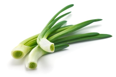 feathers of young green juicy onionの写真素材