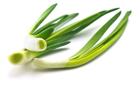 feathers of young green juicy onionの写真素材