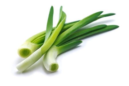 feathers of young green juicy onionの写真素材
