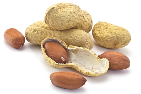 peanuts in the shell on a white backgroundの写真素材