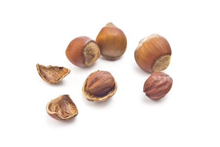 hazelnuts in shell, shell fragments and purified nuclei