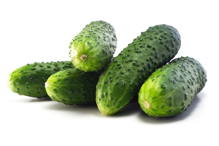 Juicy fresh and very fragrant young cucumbersの写真素材