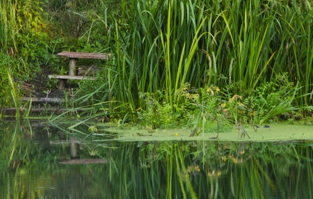 scenic spot for fishing and a seat for a fisherman on a small riverの写真素材