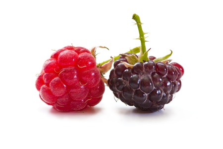 sweet ripe raspberries on a white backgroundの写真素材