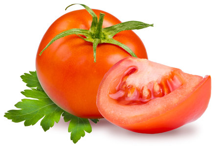 tomato and parsley leaf on white backgroundの写真素材