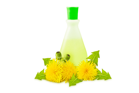 translucent vial, yellow dandelions with green leaves and buds on a white backgroundの写真素材