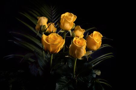 Bouquet of yellow roses and green leaves on a dark backgroundの写真素材
