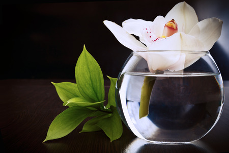 Lonely orchid in a small glass vase and a sprig of green leaves on a dark backgroundの写真素材