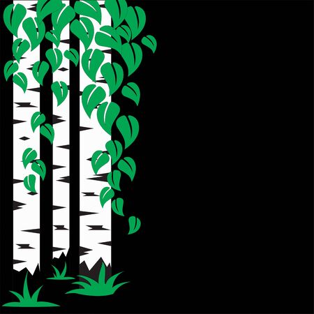 Birch Grove illustration, three trunks of birch and leaves on a black backgroundのイラスト素材