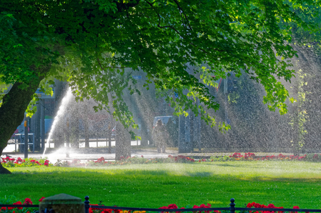 Sprinkling of a green lawn in a city with a tree in a foreground. This lawn is located in Leipzig near central train station Germanyの写真素材