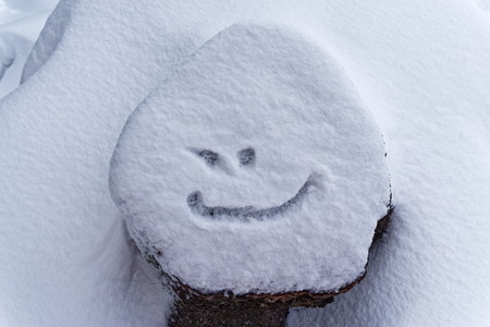 Snow covered tree stump with a smile. Torfhaus, Germanyの写真素材