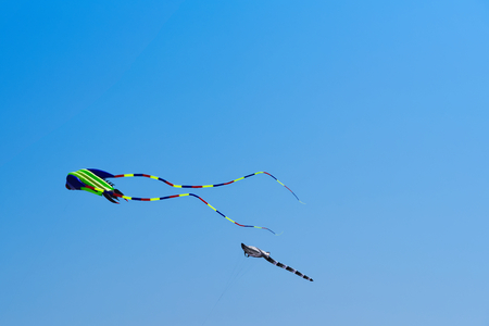 Kites against clear blue sky. Sankt Peter-Ording beach, Germanyの写真素材