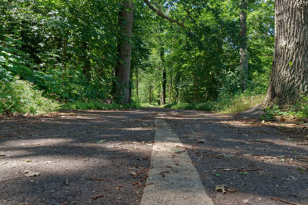Close up of a line as a marking in the middle of a bicycle road in the nature. Muenster, Germany