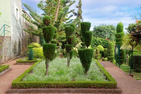 Monte (Funchal), Portugal - September 18, 2018: Decorative plants in Jardim Botanico Garden on Portuguese island of Madeiraのeditorial素材