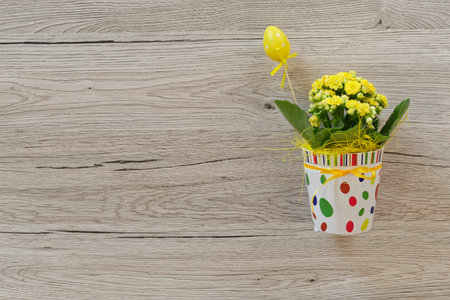 Easter decoration. Fresh plant with yellow flowers in decorative colorful pot against wooden backgroundの写真素材