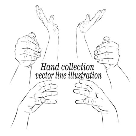 Contour of human palms, wrists, gestures on a white background.のイラスト素材