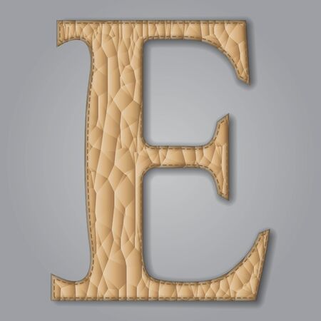 Letter E of textured leather. Decorative alphabet on gray background Vector illustrationのイラスト素材