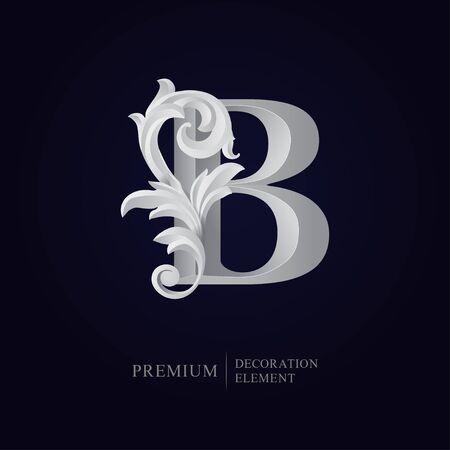 Elegant letter B with floral baroque ornament. Antique capital letter is surrounded with white decorations isolated on black background. Uppercase capital letter for monograms, logos, emblems, initialのイラスト素材