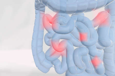Blue liver of a man with intestines on white background, with red pain area, 3D renderingの写真素材