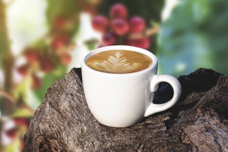 white cup of coffee or tea on wooden plate over blurred plantation of coffee tree with sun lighting.の写真素材