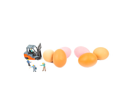 Miniature people, forklift with eggs isolated on white background.の写真素材