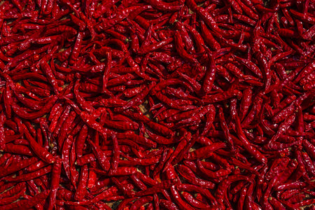 Red hot chili pepper background. Top view. Close-up.の写真素材